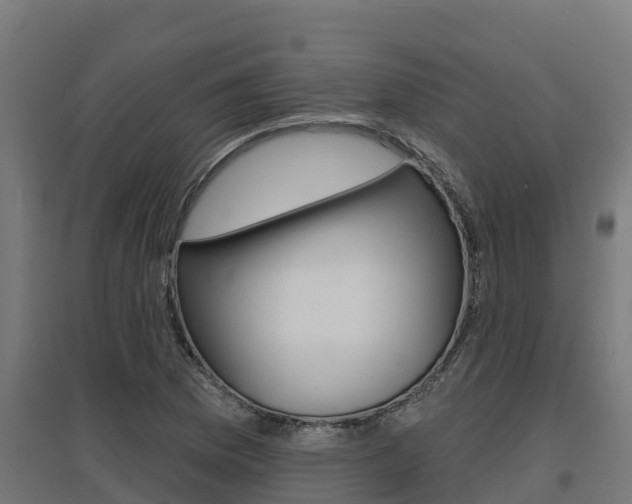 X0000097671169200802290938