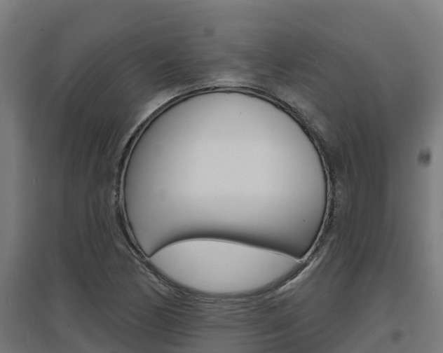 X0000097671170200802290938