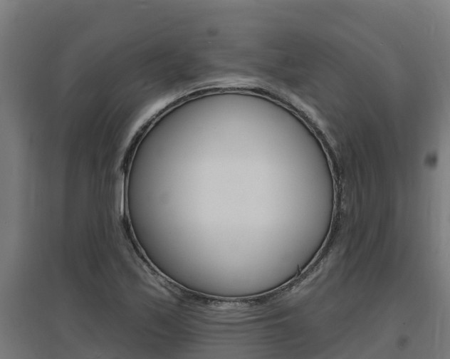 X0000097671171200802290938