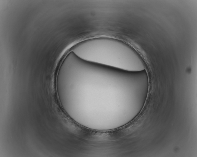 X0000097671174200802290938
