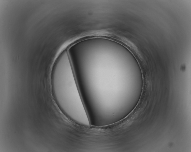 X0000097671176200802290938