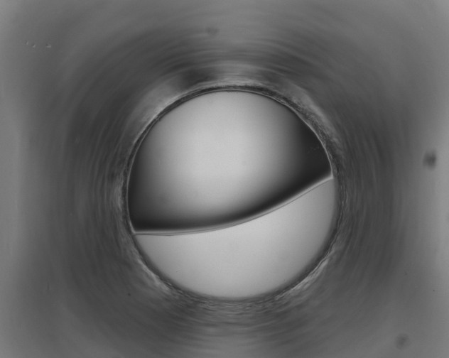 X0000097671177200802290938