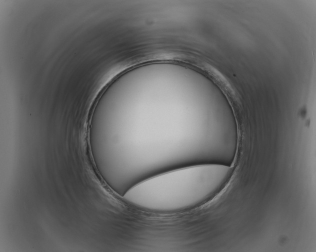 X0000097671178200802290938