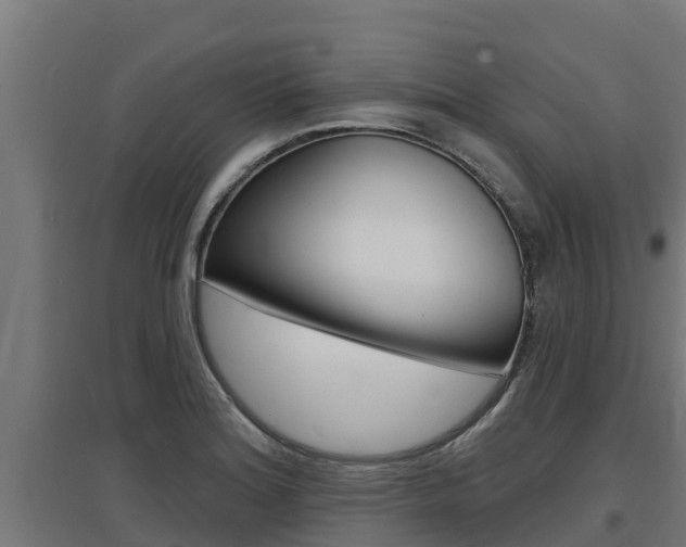 X0000097671180200802290938