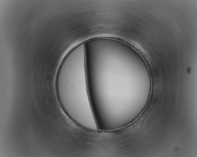 X0000097671181200802290938