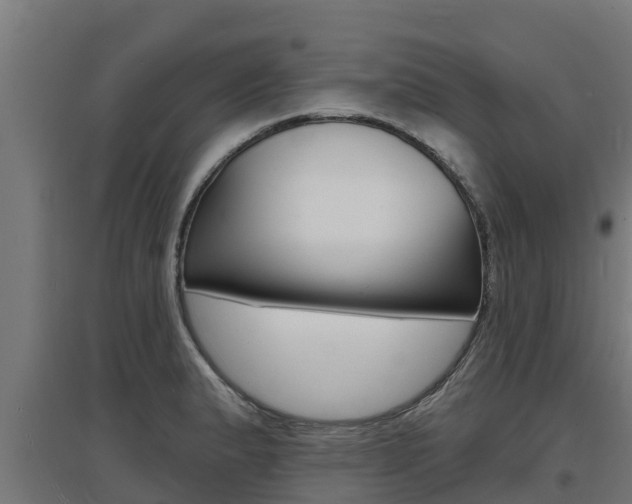 X0000097671183200802290938