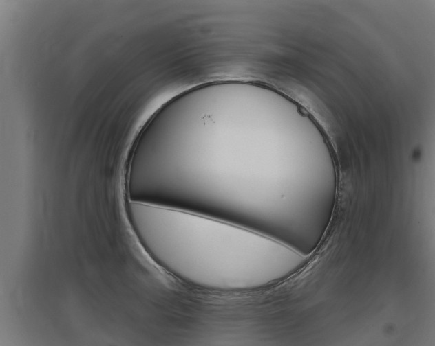X0000097671187200802290938