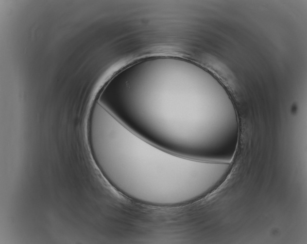 X0000097671188200802290938