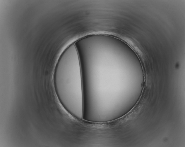 X0000097671189200802290938