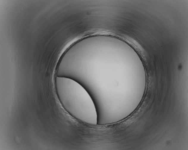 X0000097671190200802290938