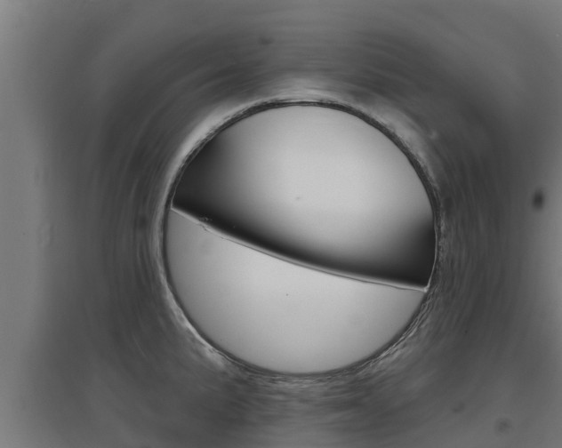 X0000097671191200802290938
