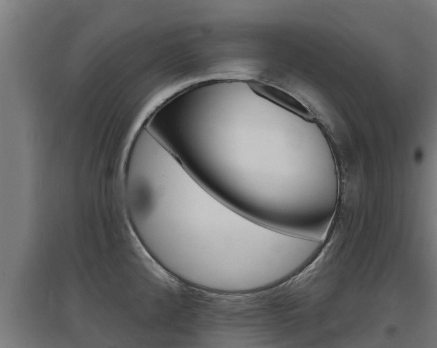 X0000097671192200802290938