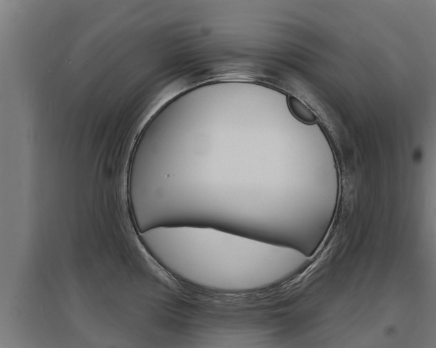 X0000097671194200802290938