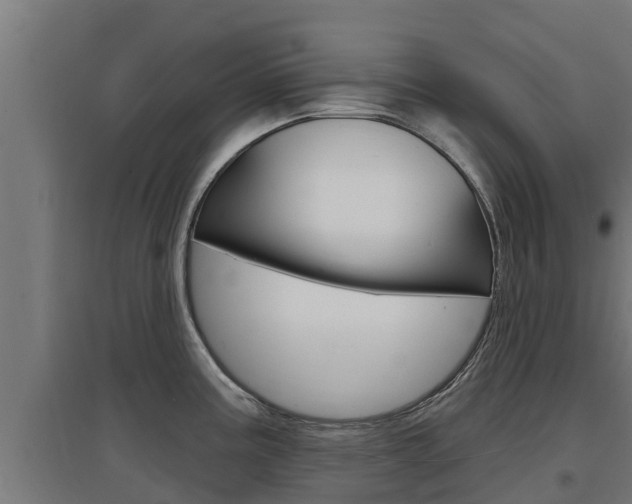 X0000097671195200802290938