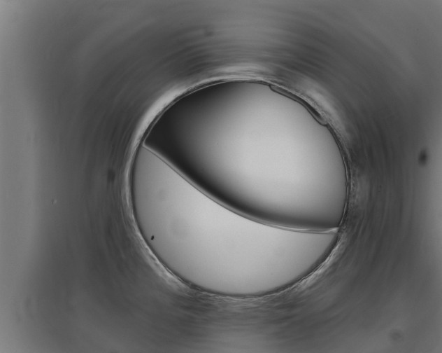 X0000097671196200802290938