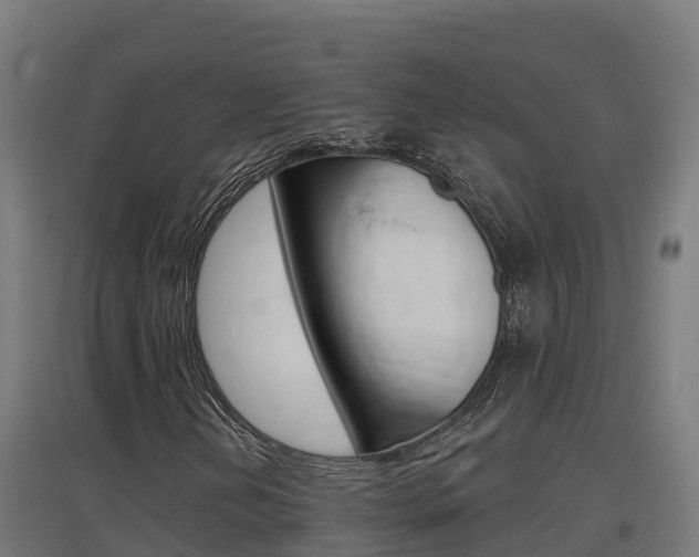 X0000097671202200802290937