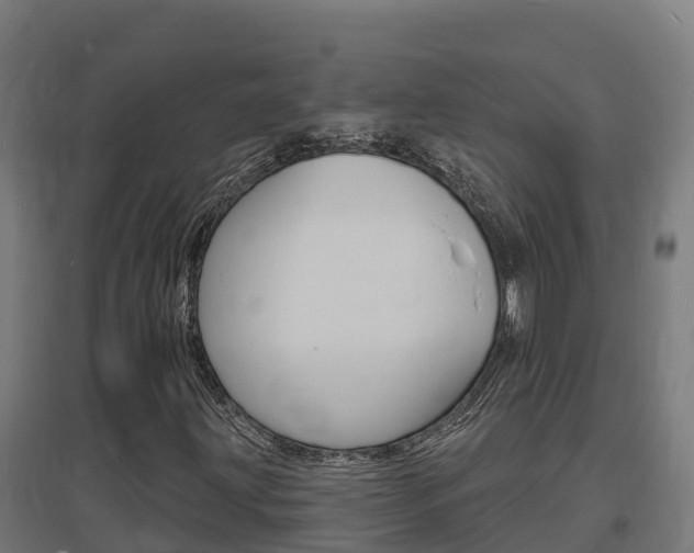 X0000097671203200802290937