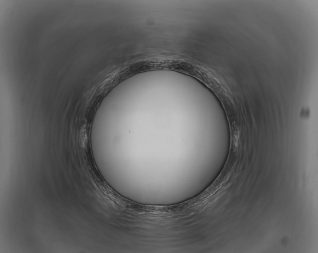 X0000097671204200802290937