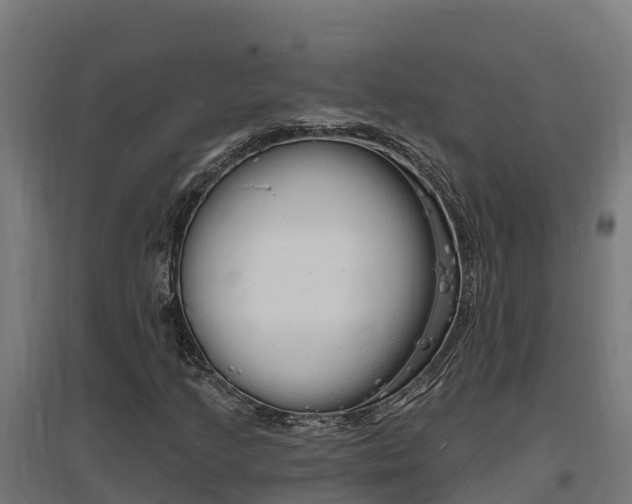 X0000097671205200802290937
