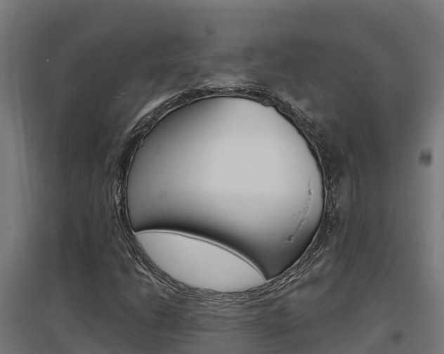 X0000097671206200802290937