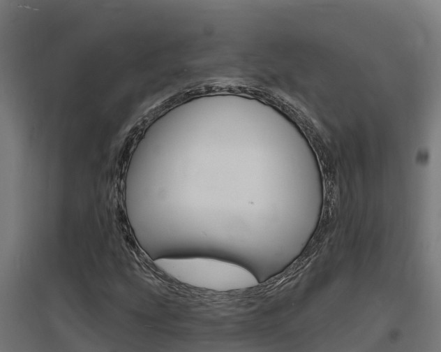 X0000097671207200802290937