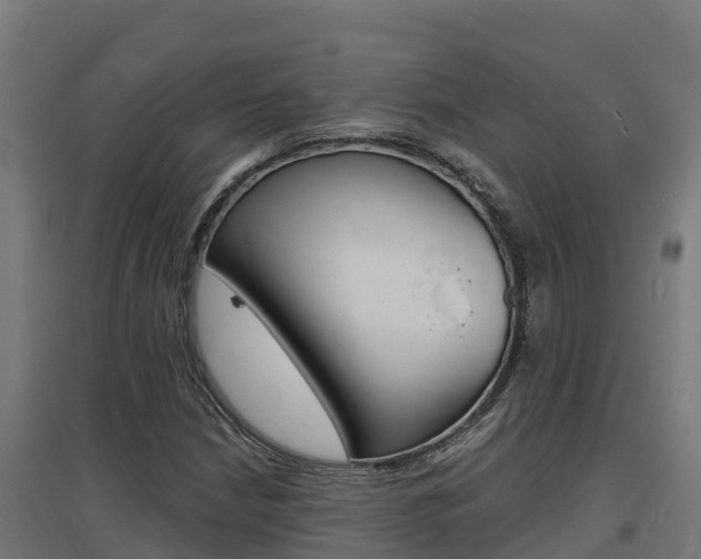X0000097671210200802290937