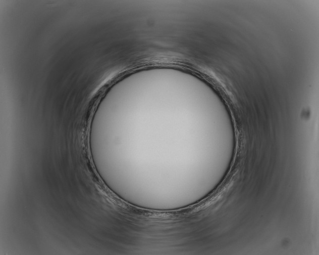 X0000097671211200802290937