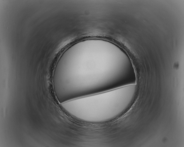 X0000097671213200802290937