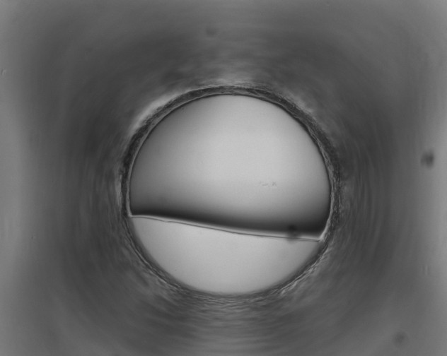 X0000097671214200802290937
