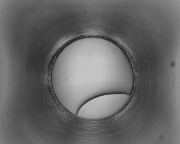 X0000097671215200802290937
