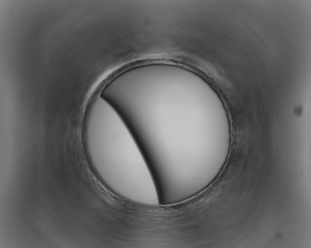 X0000097671216200802290937