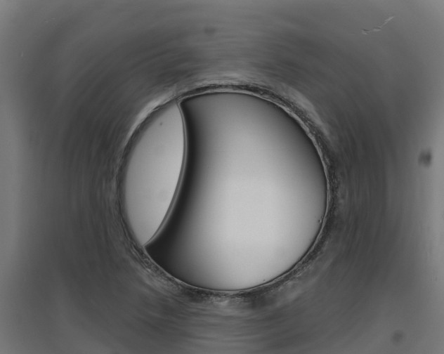 X0000097671218200802290937