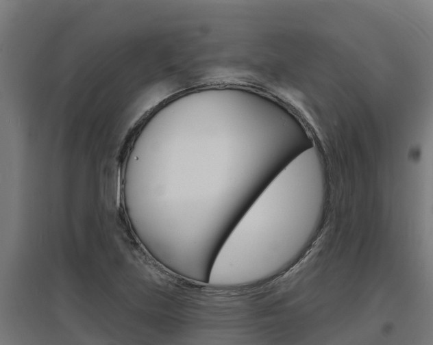 X0000097671219200802290937