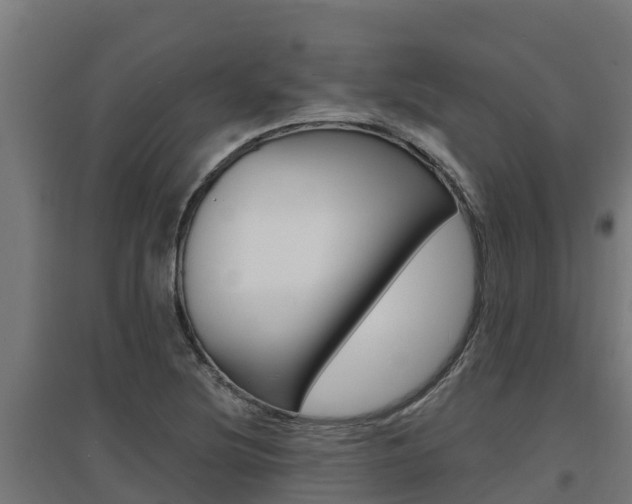 X0000097671220200802290937