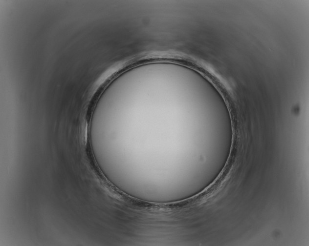 X0000097671221200802290937