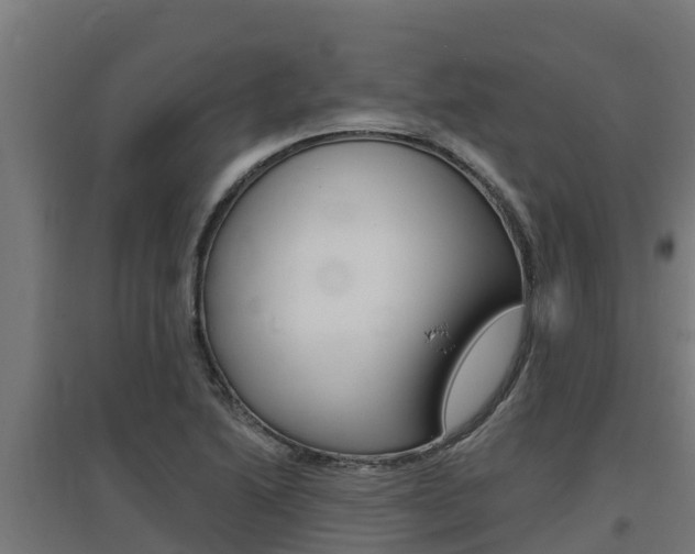 X0000097671222200802290938