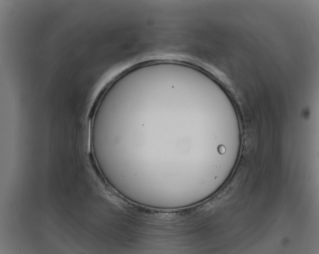 X0000097671223200802290938