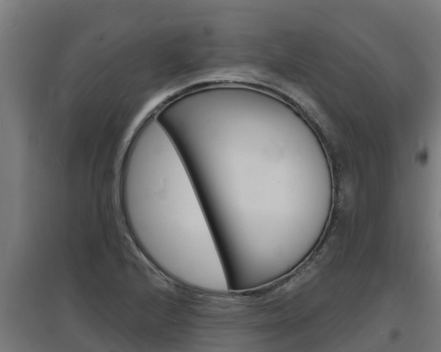 X0000097671224200802290938