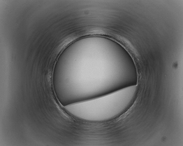 X0000097671225200802290938