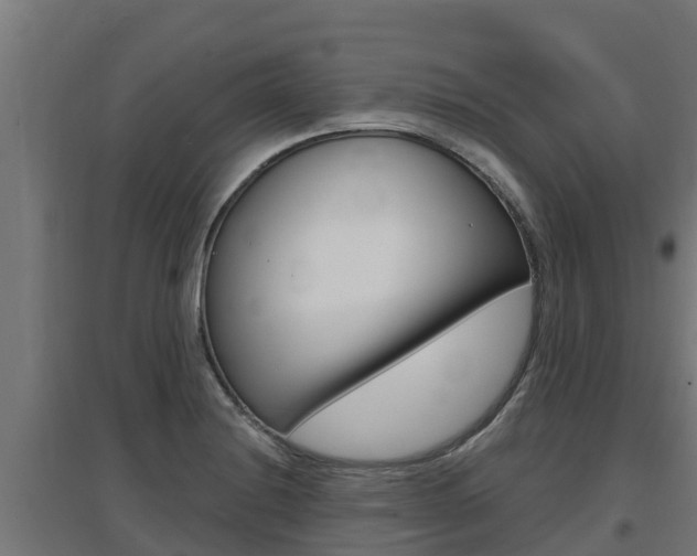 X0000097671228200802290938