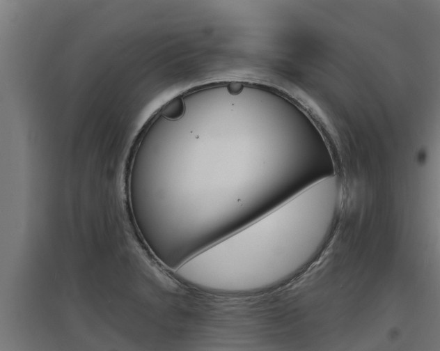 X0000097671230200802290938