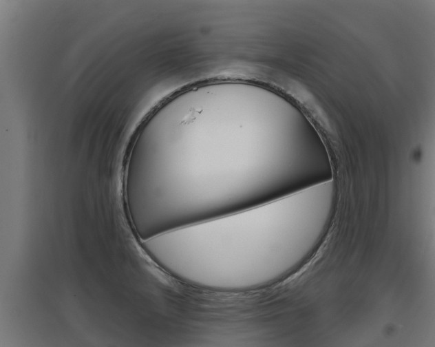 X0000097671232200802290938