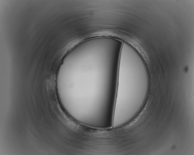 X0000097671233200802290938