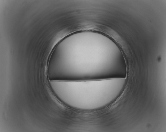 X0000097671234200802290938