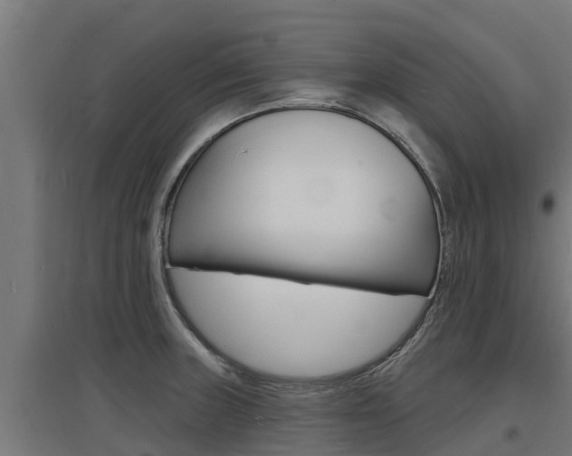 X0000097671235200802290938