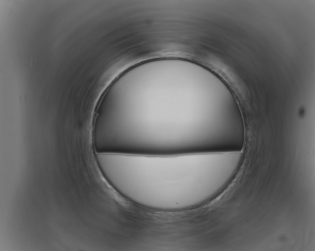 X0000097671236200802290938