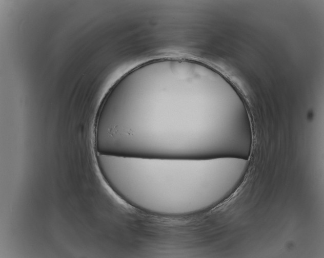 X0000097671239200802290938