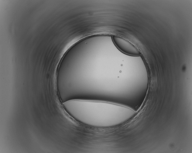 X0000097671242200802290938