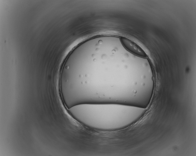 X0000097671245200802290938