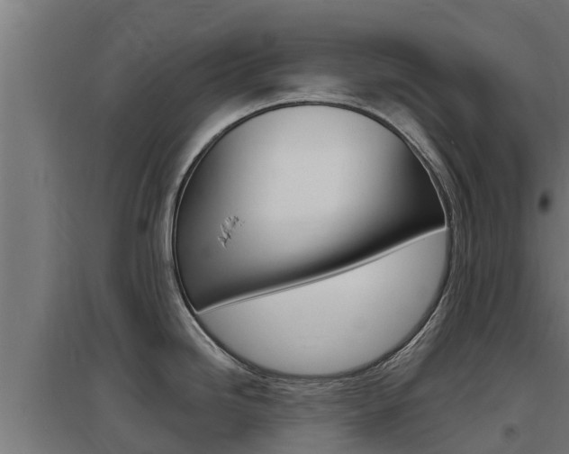 X0000097671246200802290938